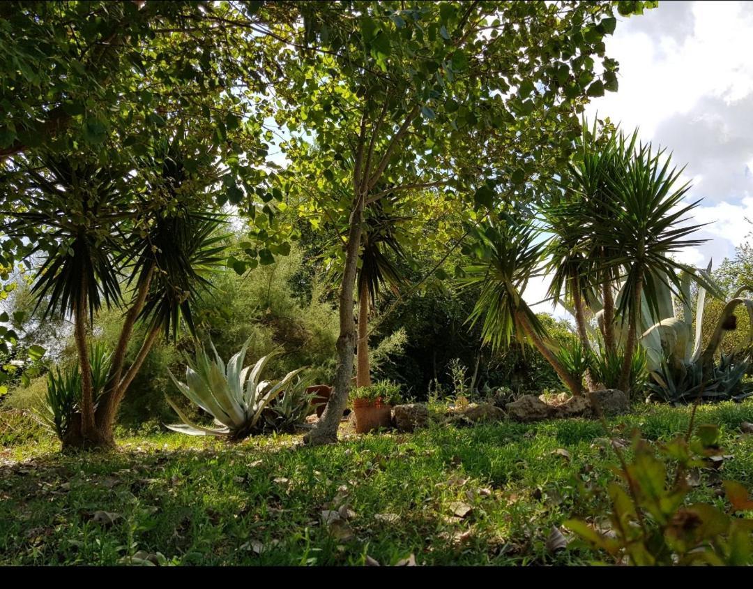 Salento Lapezzaaculuri Villa Guagnano Exteriör bild